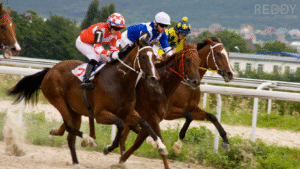 Horse Racing Online